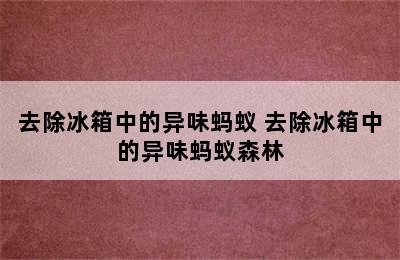 去除冰箱中的异味蚂蚁 去除冰箱中的异味蚂蚁森林